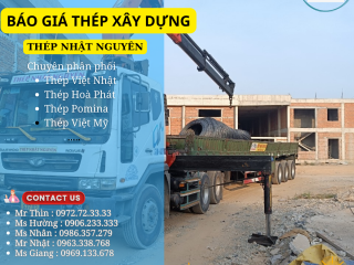 Giá thép hôm nay ngày 14/03/2025: Thép trong nước điều chỉnh giảm