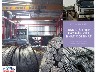 Báo Giá Thép Cây Gân Việt Nhật Mới Nhất Hiện Nay- Giá Chiết Khấu Cao