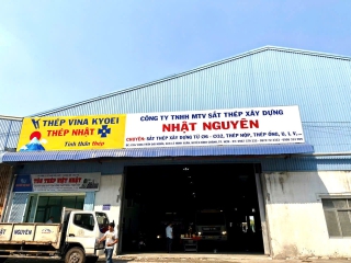 Thị trường thép 2025: Dự báo xu hướng và cơ hội đầu tư