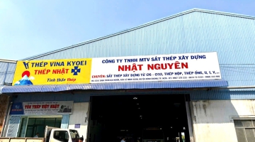 Thị trường thép 2025: Dự báo xu hướng và cơ hội đầu tư