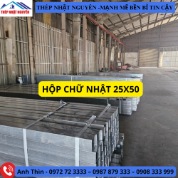 Thép Hộp 25×50