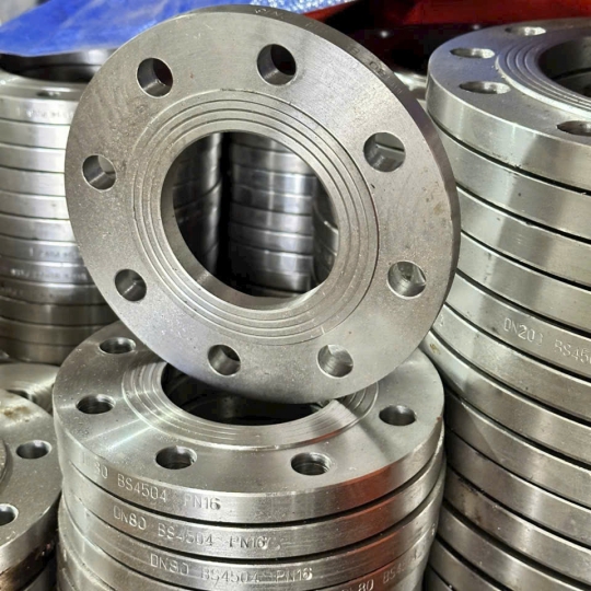 Mặt Bích rỗng BS PN10